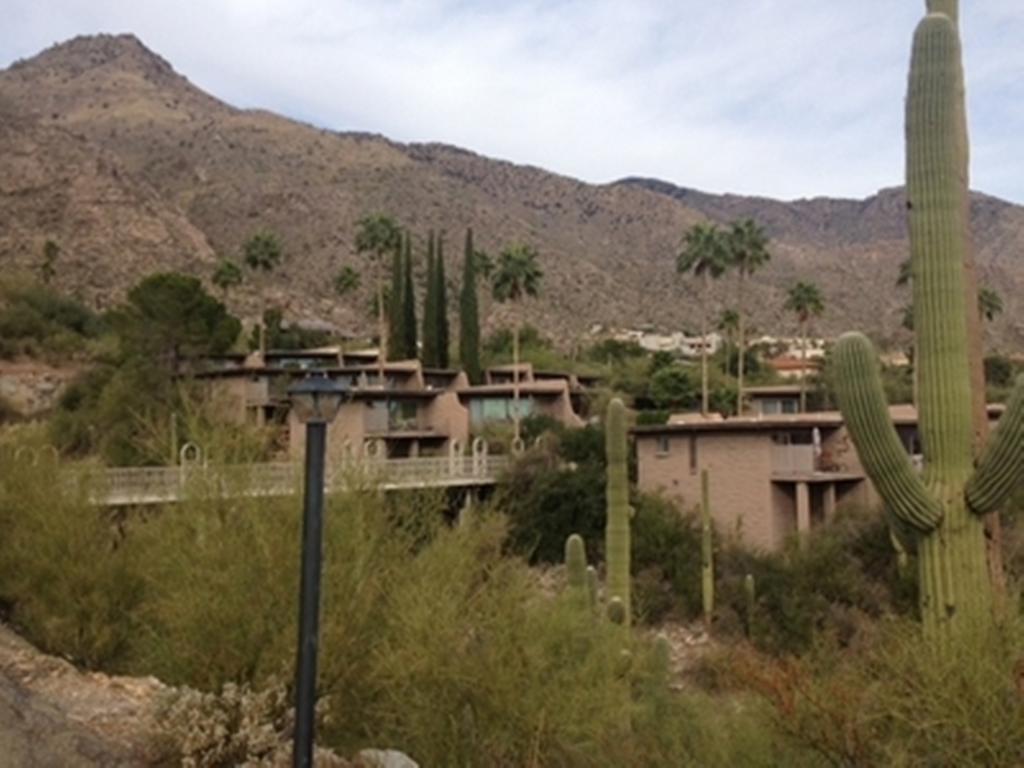 Mission Hills Casitas By Arizona Housing Solutions - Pv8 Villa Oro Valley Værelse billede